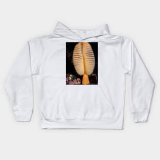 Orange Sea Pen With Quillback Rockfish Kids Hoodie